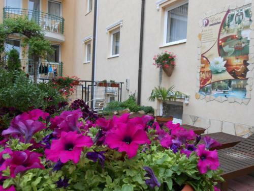 Pallace Wellness Apartment