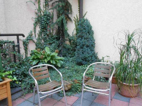 Pallace Wellness Apartment