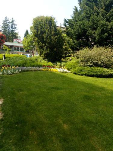 Violetta Apartmanlak�s