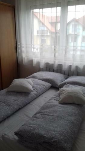 Apartman Venus