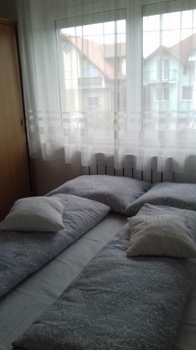 Apartman Venus