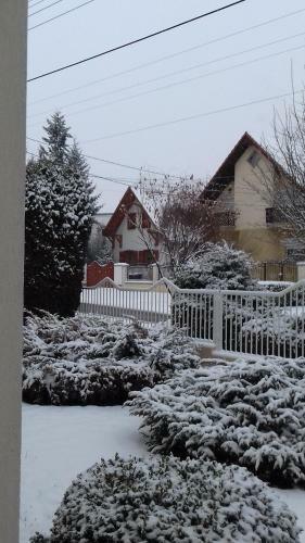 Apartman Venus