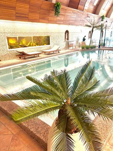 Apartamento Spa Residence Carbona Lio Suites F010