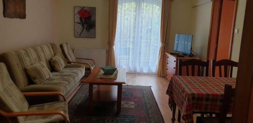 Erika Apartman
