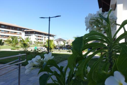 Apartamento Flat Praia Do Cup� - Porto de Galinhas