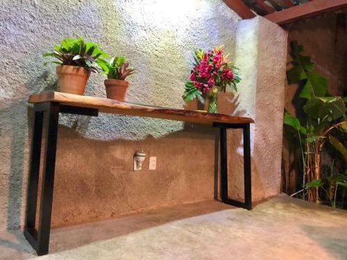 Casa Boutique Maraca Privativa Para 6 Pessoas Com Pets
