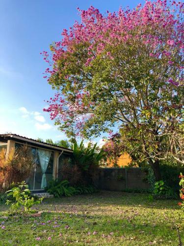 Casa Boutique Maraca Privativa Para 6 Pessoas Com Pets