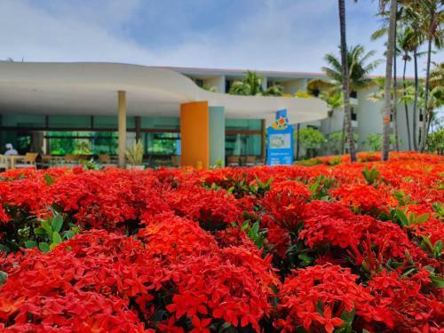 Apartamento Flat Marulhos Porto de Galinhas - 305d