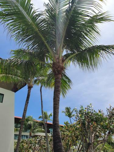 Apartamento Flat Marulhos Porto de Galinhas - 305d