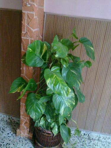 Hostal Pensi�n Puerto