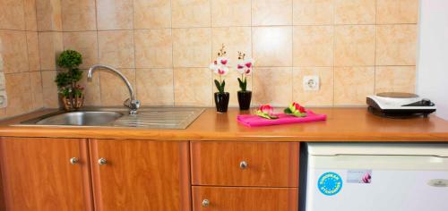 Apartamento Litsa & Rosa Studios