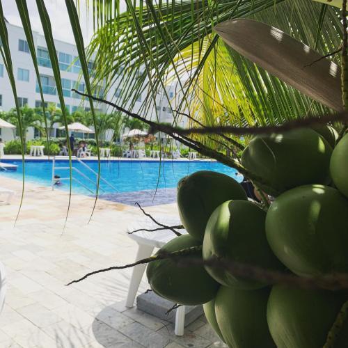 Apartamento Flat Palm Village Acqua 404