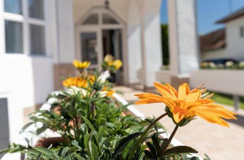 Compass Apartmanok I