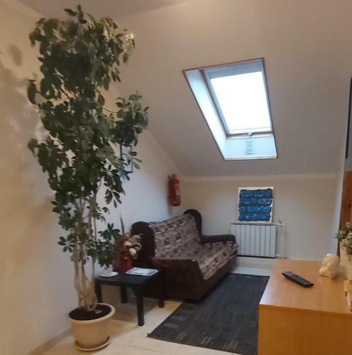 Tiesiog Hostelis