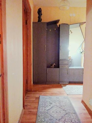 Apartamento Vieno Kambario Butas
