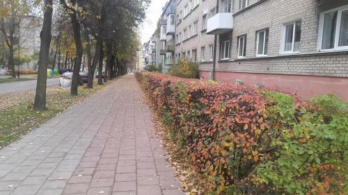 Apartment For You