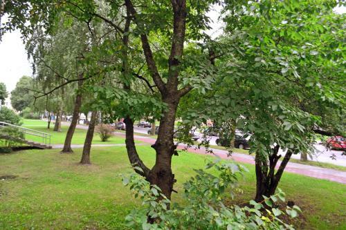 ?iauliai City Apartment