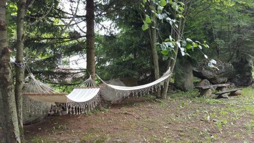 Agroturismo Orvid? Sodyba