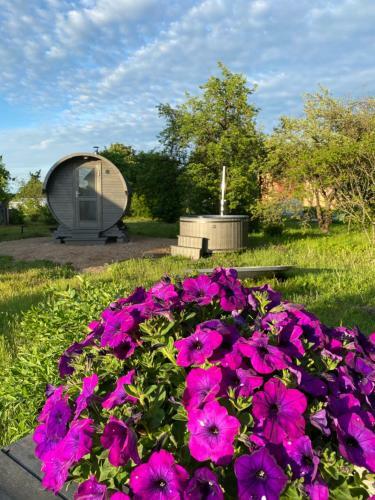 Skrunda Apartments Rustic