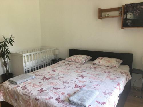 Strelnieku Apartment