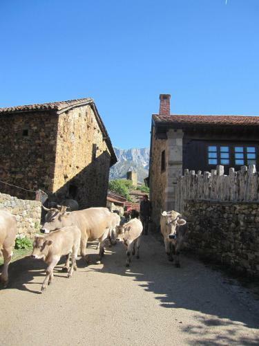 Hostal Hosteria Picos De Europa