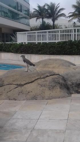 Apartamento Pontal Beach.