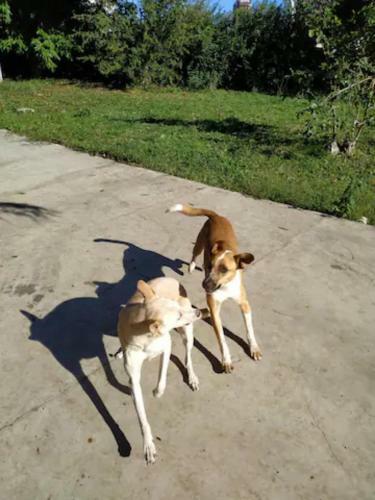 Tranquilidade No Centro