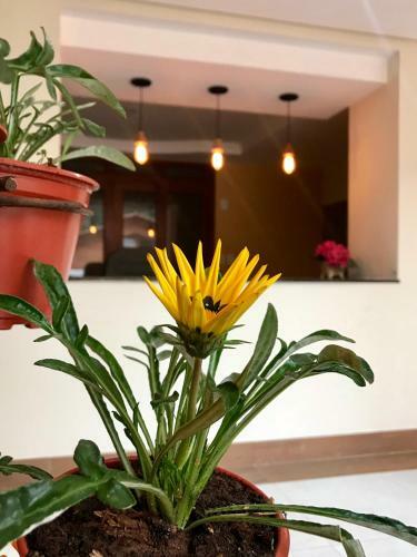 Hotel Ecopousada Garten Haus