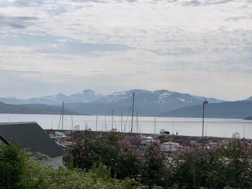 Villa I Nord-norge