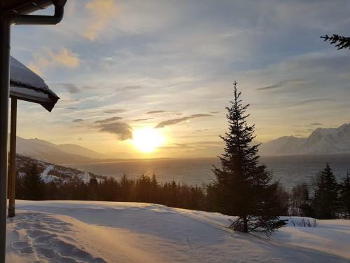 Lyngen Vista