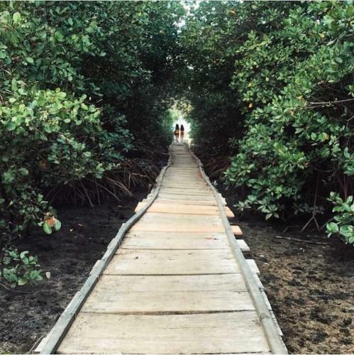 A Casa Concha Glamping Praia de Gravat�
