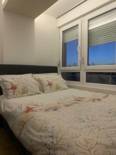 Apartman Ann