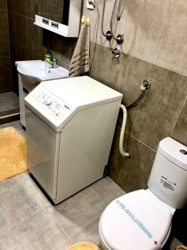 Apartment Tesla