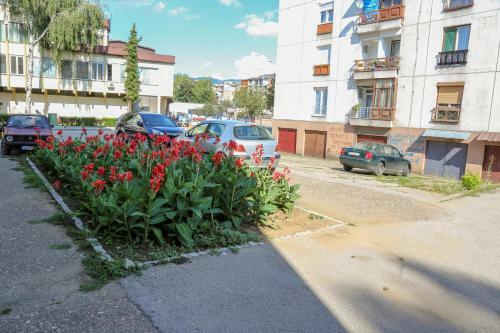 Apartman Marija