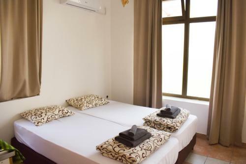 Apartmani Petra Sabac