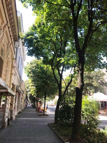 Hostal Sobe Kuzmanovi? - ?abac