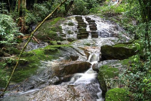 La Bella Fiore