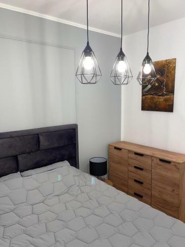 Apartments Novi Sad
