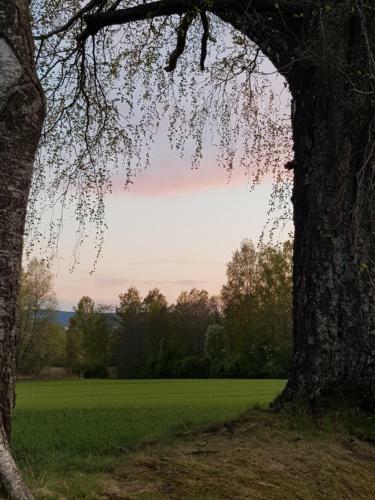 Bed & Breakfast Pilegrimsherberge Innomhaug