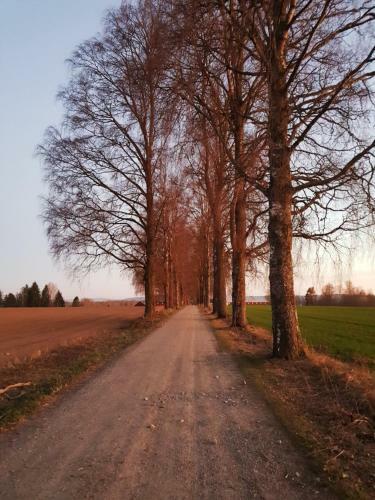 Bed & Breakfast Pilegrimsherberge Innomhaug