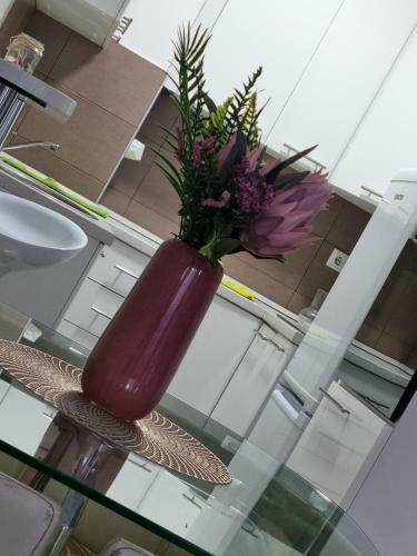 Apartamento Downtown Lux