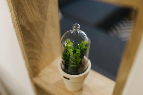 Apartment Jana 2