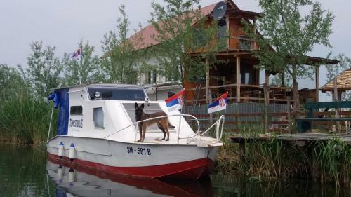 Sala? Uz Ba?ki Kanal