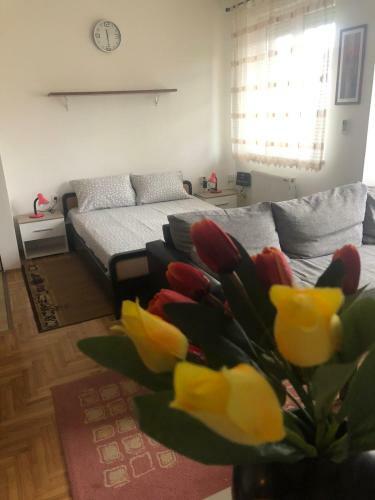 Apartamento Tulipan