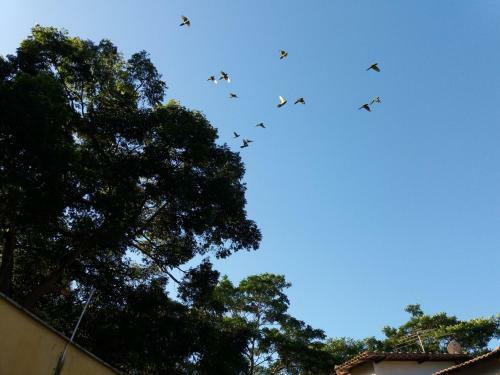 Temporada Riserva Manguinhos