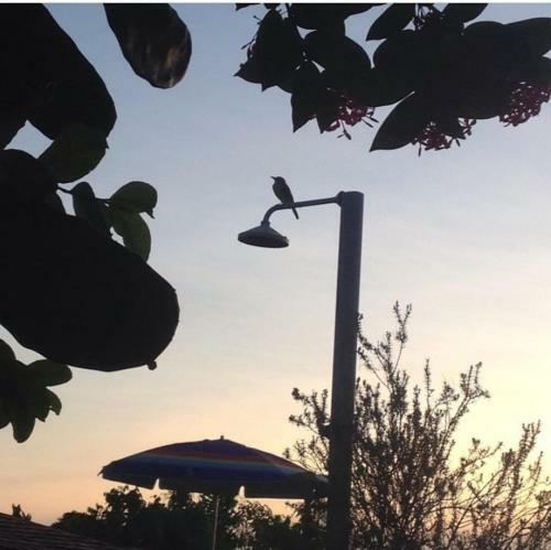 Lindo Chal� Com Piscina E Churrasqueira Em Ita�na