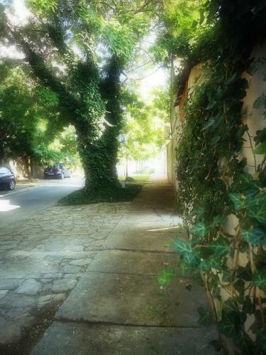 Hostal Centar