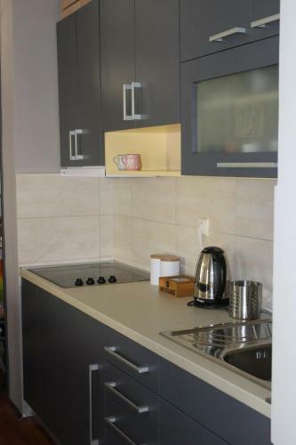 "grey Apartment" Subotica