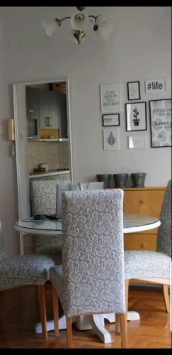 "grey Apartment" Subotica