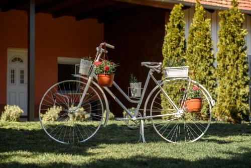 Apartamento Dumalux Room